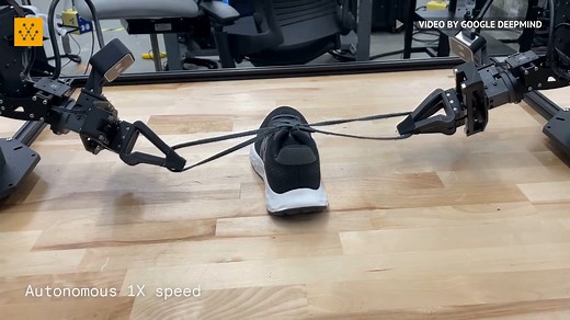 73K views · 1K reactions | Two new AI systems, ALOHA Unleashed and...