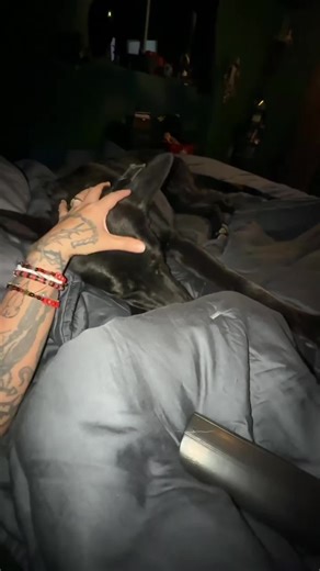 #stitch with @hawkhatesyou my hair line is insane i got my hair dyed today hahaha