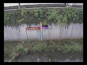 【谷沢川】丸山橋映像監視局［世田谷区中町4］