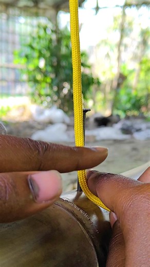 The Ultimate Survival Rope Hack ✅ #knowledge #camping #shorts #usa