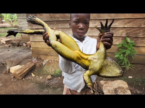 THE BIGGEST FROG IN THE WORLD