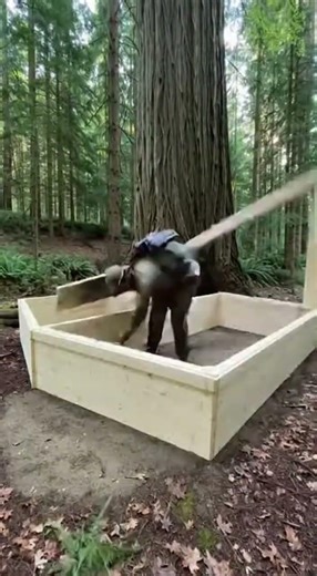 This House Was Built Around a Living Tree 🌳