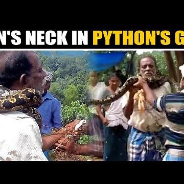 Kerala man rescued from python's grip, video goes viral | OneIndia News