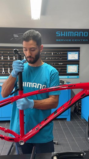 Regresa la Ocelot: Bicicleta de Montaña GW