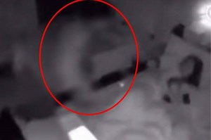 WATCH: Brave Dad Uses Body to Shield Wife and Child During Taiwan Earthquake | theAsianparent Singapore