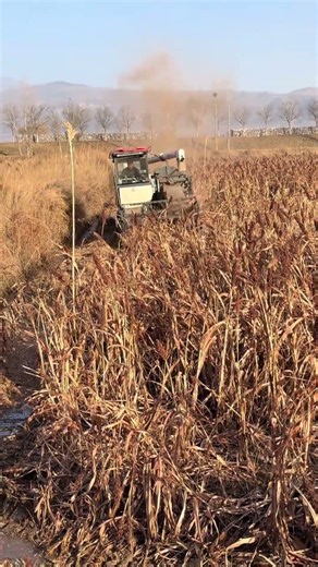 Kubota Harvester: The Ultimate Muddy Field Workhorse (No More Getting Stuck!)