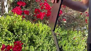 Reseña Surface Pro X: esto es el futuro de las PC