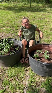 How to hill up your potatoes in your garden to have a bigger harvest! #gardentips #growyourownfood #gardening #organicgardening #urbangarden #garden #beginnergardener #potatoes #sustainability #growingfood #vegetablegarden #containergardening | Perkyplantparent