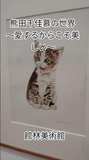 熊田千佳慕 #群馬県立館林美術館 #熊田千佳慕の世界 ～愛するからこそ美しい～