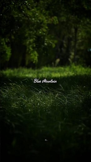 Blue Mountain 🦋 Cheema Y 🥀 4k Asthetic Lyrics Video 🥀