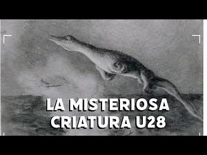 The U-28 Creature: The sea monster that emerged from the war