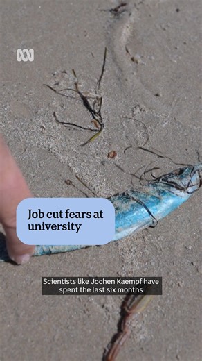 9.8K views · 118 reactions | Proposed uni restructure prompts job losses. Six internationally recognised marine scientists who are researching South Australia's toxic algal bloom are set to lose their jobs at Flinders University, the ABC understands. : Peta Doherty Choose your news on the ABC NEWS app and stay in the know: https://ab.co/abcnewsapp | ABC Adelaide | Facebook