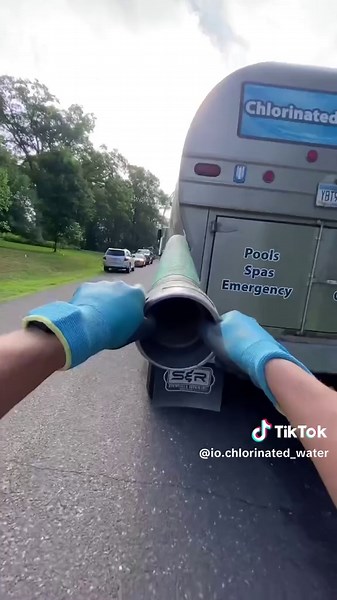 Mouse Encounters in a Minnesota Pool