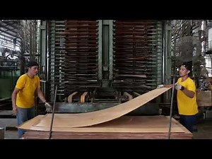 Door Manufacturing Process – From Log to Final Product