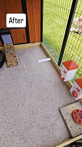 I don’t feel the need to justify every chicken-keeping decision anymore. If the birds are healthy, the system is sustainable, and it’s working, that’s enough for me. Experience has a way of filtering out noise. Haters gonna hate. #ChickenLife #BackyardChickens #ChickenKeeperProblems #HomesteadHumor #farmlifeisthebestlife | Coop Dreams & Dragon Tales