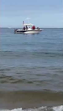 Watch as shark swims off Cape Cod shore within 10 feet of Race Point Beach in Provincetown