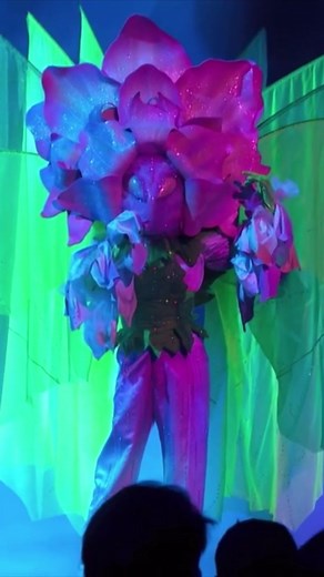 Sheldon Riley Impresses as Snapdragon on The Masked Singer Australia