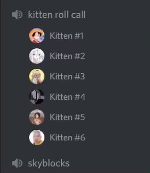 we take our nightly kitten role call very seriously 😤 #discord #discordkitten #mommysorry #mommy