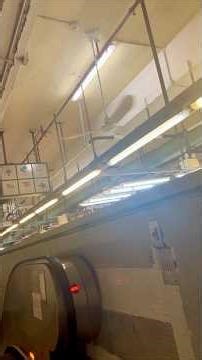 Current-gen SMC K56/48 industrial ceiling fans and 25" Windy and Wing Ton HV at Yeung Uk Road market