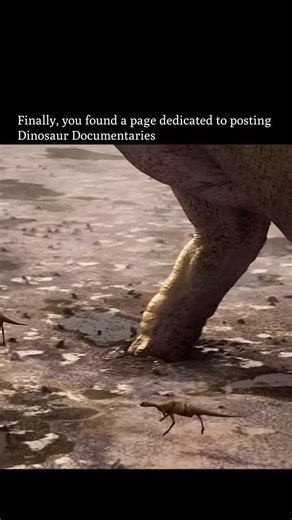 ⏰ 𝗙𝗼𝗹𝗹𝗼𝘄 𝘁𝗼 𝗴𝗼 𝗯𝗮𝗰𝗸 𝗶𝗻 𝘁𝗶𝗺𝗲 on Instagram: "What happens when a Tyrannosaurus Rex suddenly appears in the modern world… and crosses paths with a Terminator? A time rift opens on a highway, and a full-grown T. Rex steps out — confused, fearless, and ready to dominate. This isn’t its ancient world, but it still moves like the apex predator it’s always been. Watching from the shadows is a T-600 Terminator, a mass-produced killing machine built to eliminate threats without hesitat