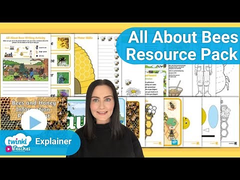All About Bees Resource Pack | Twinkl Teaches EYFS