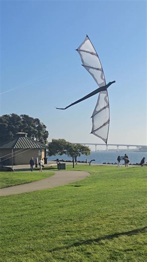 Rev Dragon Sighting!! Final test flight is done. Dragon is Joe approved!! Production has begun. These are not easy to make. Not sure how many we will be creating. Get your order in before it's too late! Rev Masterpiece Dragon with 15" Carbon fiber, No-snag Handles. Signed & Numbered. $800. | Revolution Kites