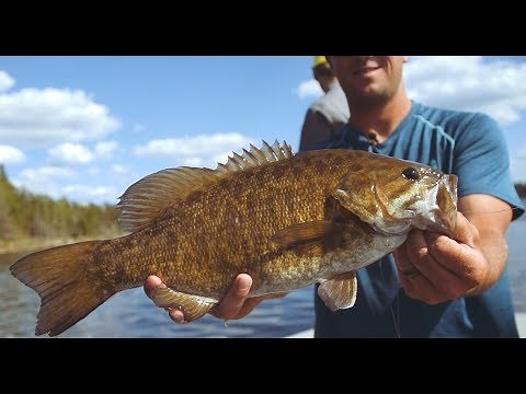 'End Of The Road' - Manitoba Drive-To Fishing at Q Lake Lodge