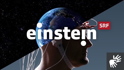 Invasive Quagga-Muscheln: Kollabierende Seen und Millionenschäden