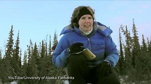 Icy jellyfish? No, these strange phenomena are frozen METHANE BUBBLES
