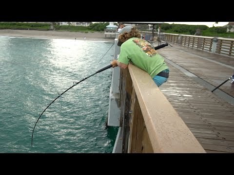 UNSTOPPABLE Fish.... (Juno Pier Snook Fishing)