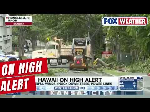 Hawaii On High Alert As Storm Drops Monumental Amount Of Rain