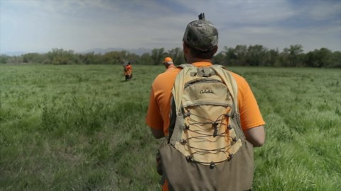 SHOW LINE VS. WORKING LINE WHICH SHOULD YOU CHOOSE?!!!