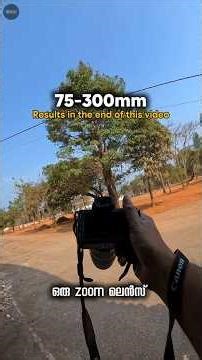 using the 75-300 zoom lens #codrive #photography #shorts