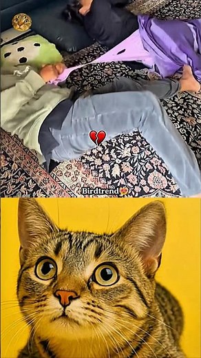 well done 😊 #shorts