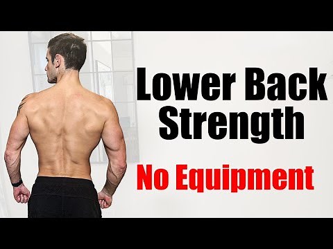 Lower Back Strength | No More Back Pain | Beginner Workout No Equipment