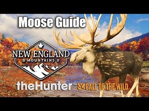 Moose Guide For New England Mountains - theHunter Call Of The Wild