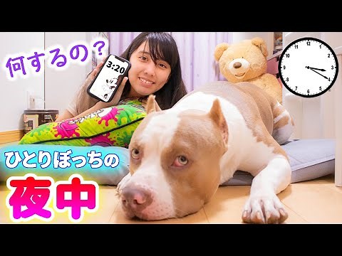 ひとりぼっちの夜中。真夜中に一人で何するの？【ルーティーン】