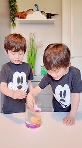 Mag hatch and grow tayo ng unicorn! 🦄🤍 | Charlie & Chino