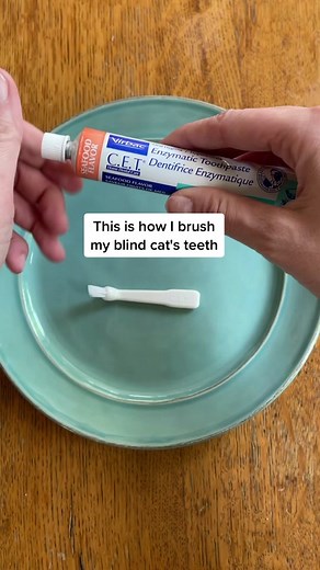 TikTok - Make Your Day