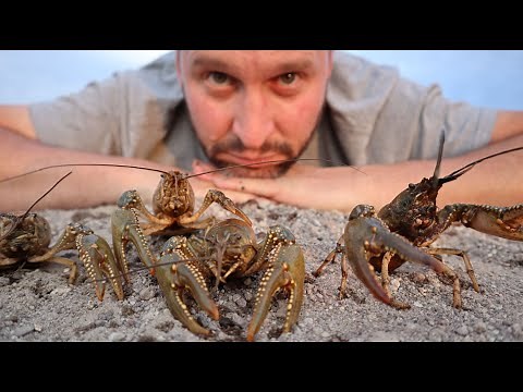 Crawdad Catch and Cook! Idaho Crawfishing | DIY Crawfish Traps