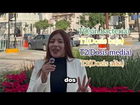 Efecto del Bacillus subtilis en recuperación de calidad biológica yquímica de suelos degradados