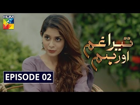 Tera Ghum Aur Hum Episode 2 HUM TV Drama 2 July 2020