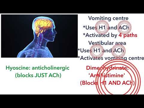 Antiemetics for motion sickness: antihistamines and anticholinergic medicines