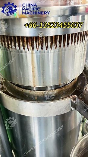 Customer bring 10kg sapindus mukorossi seeds 100% hydraulic cold pressing real test performance