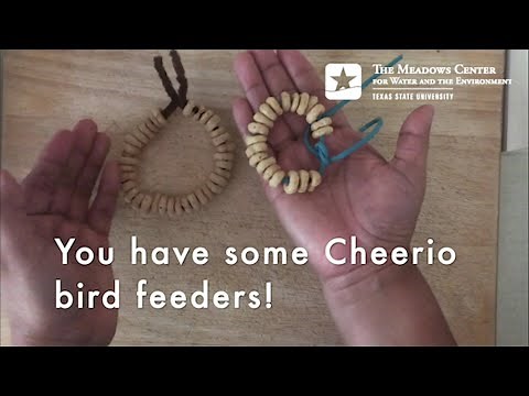 For the Birds…How to Make Cheerios Bird Feeders
