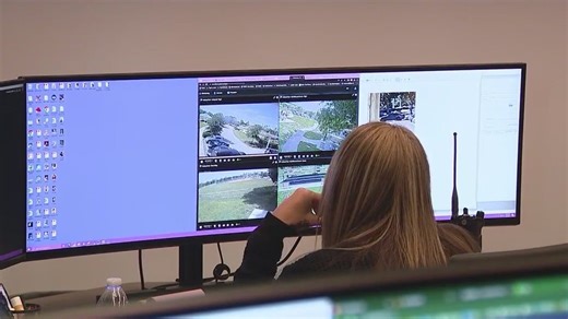 'Virtual Backup' used to bring alleged rifle-swinging sex offender into custody