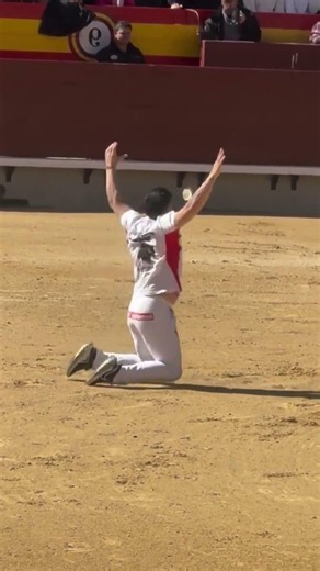 You Won't Believe the Magnitude of This Bullfighting Cut