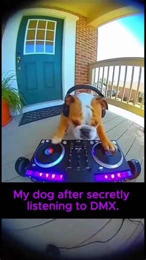 DJ dog trying to remix A.I. #ai #poprock #newmusic #whatsreal #deepfake