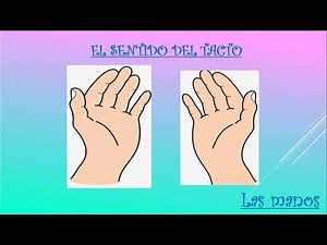 Sentido del tacto