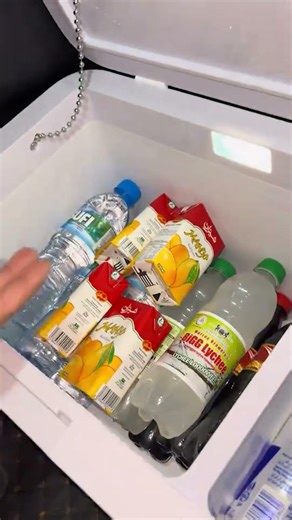 Portable Compressor Fridge